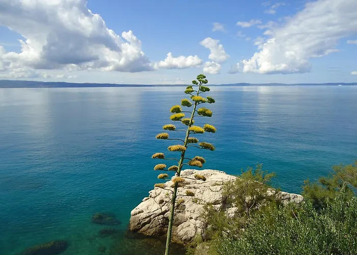 Appartement One Vision *