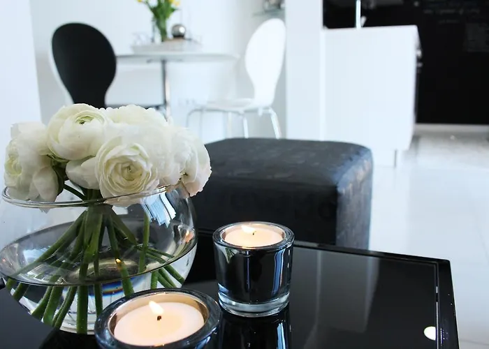 One Vision * Сплит