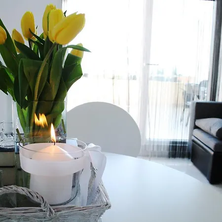 Apartment One Vision *