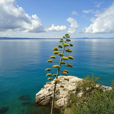 Apartment One Vision *